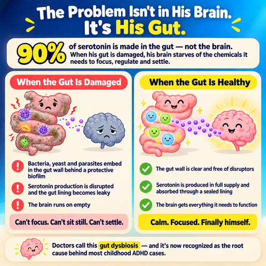 Nuveria Gut + Brain Care